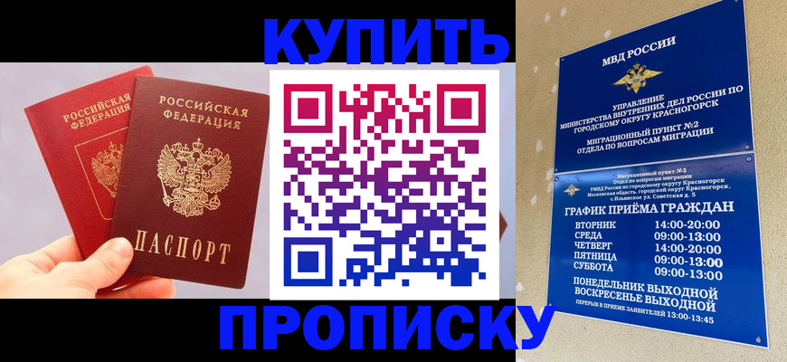 миграционный учет в Камчатском крае